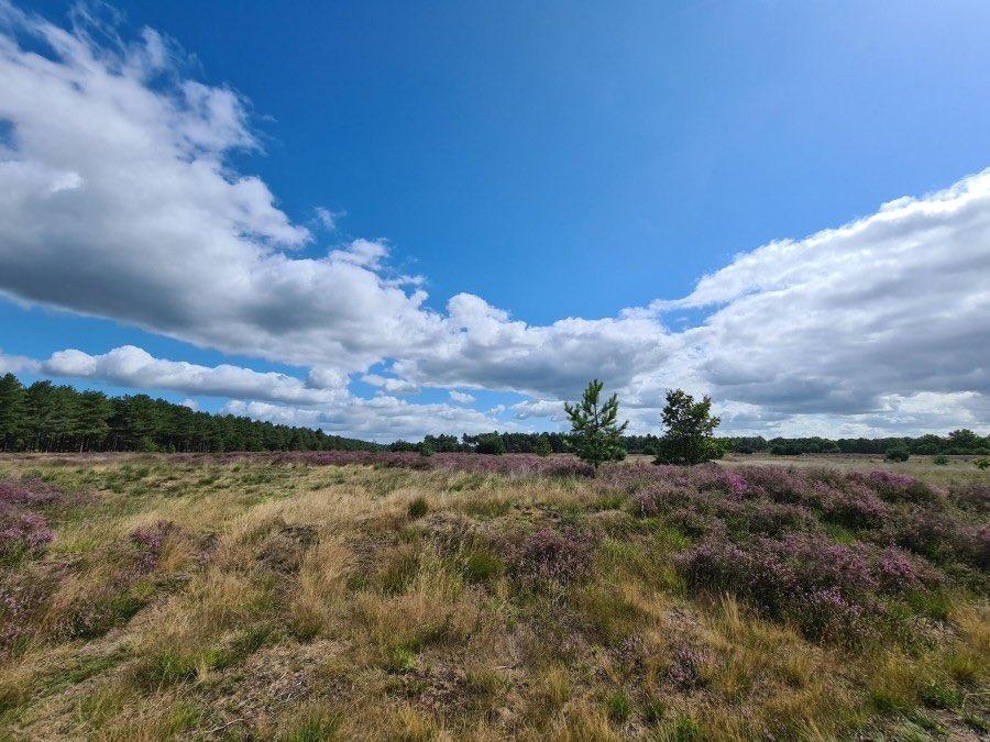 Geldgebrek bij Staatsbosbeheer ‘Bedreiging voor recreatie in de natuur