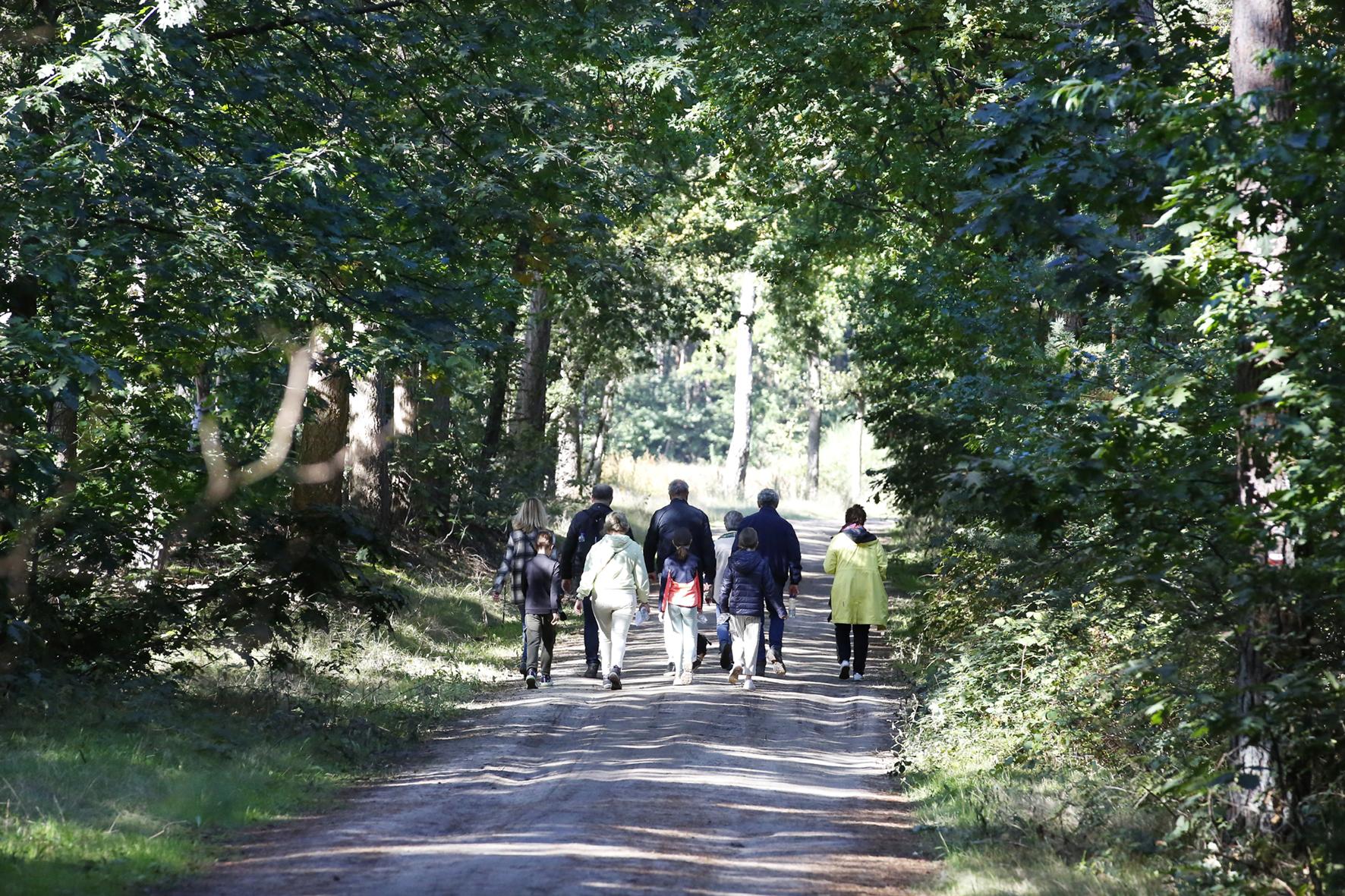 Run Against Cancer in Valkenswaard 2024